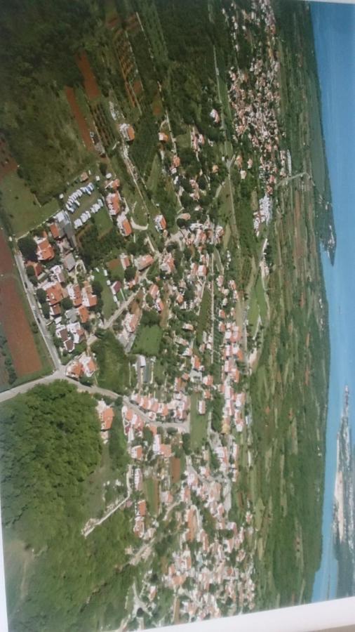 Apartment Nona Tar-Vabriga 外观 照片